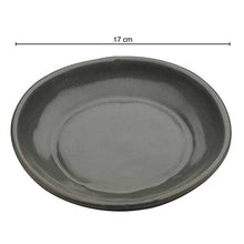 Load image into Gallery viewer, Vegan Shallow Bowls - Set Of Two