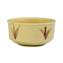 Load image into Gallery viewer, Vegan Standard Soup bowls 300ml - Set of 2