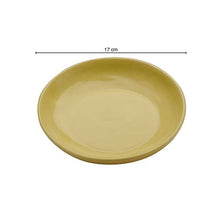 Load image into Gallery viewer, Vegan Shallow Bowls - Set Of Two
